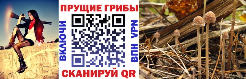 Галлюциногенные грибы Cubensis  Дюртюли 