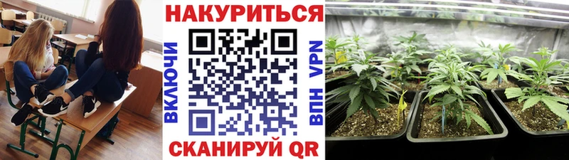 Шишки марихуана White Widow  где найти наркотики  MEGA маркетплейс  Дюртюли 